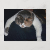 Papa, ich bin beat! postkarte (Vorderseite)