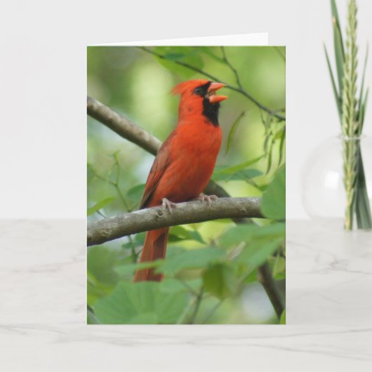 Papa Singing! Karte (Vorderseite)