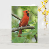 Papa Singing! Karte (Gelbe Blume)