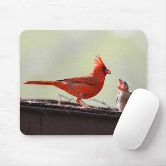 Papa und Baby Kardinal 1 Mousepad (Mit Mouse)