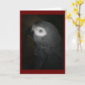 PAPAGEI 4-GREY KARTE (Gelbe Blume)