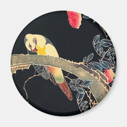 Papagei am Rande einer blühenden Rose Bush Magnet (Vorne)