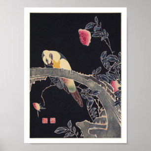 Papagei am Zweig, blühende Rose Bush, Jakuchū Poster