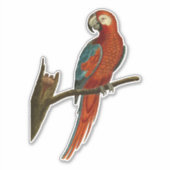 Papagei an einer Zweigniederlassung Aufkleber (Vorderseite)