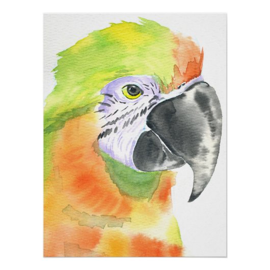 Papagei Aquarell Poster (Vorderseite)