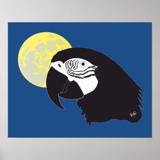 Papagei Ara Poster (Vorne)