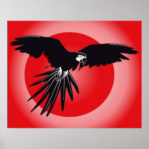 Papagei-Arena-Poster Poster