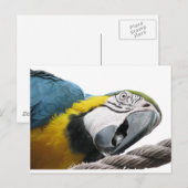 Papagei auf Seil — Postkarte (Vorne/Hinten)