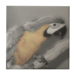 Papagei aus schwarzem und weißem Bird Fliese
