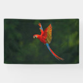 Papagei Banner (Horizontal)