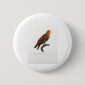Papagei Button (Vorderseite)