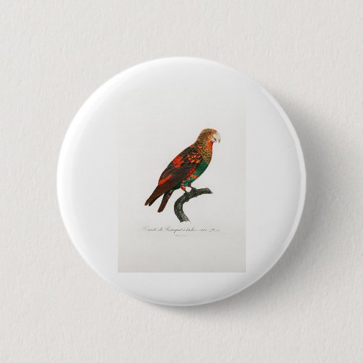 Papagei Button (Vorderseite)