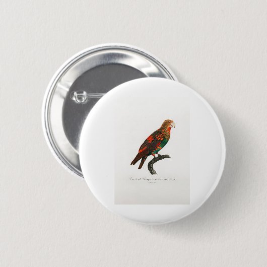 Papagei Button (Vorne & Hinten)