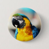 Papagei Button (Vorderseite)