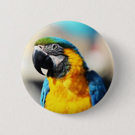 Papagei Button
