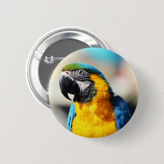 Papagei Button (Vorne & Hinten)