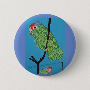 Papagei Button
