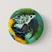 Papagei Button (Vorderseite)