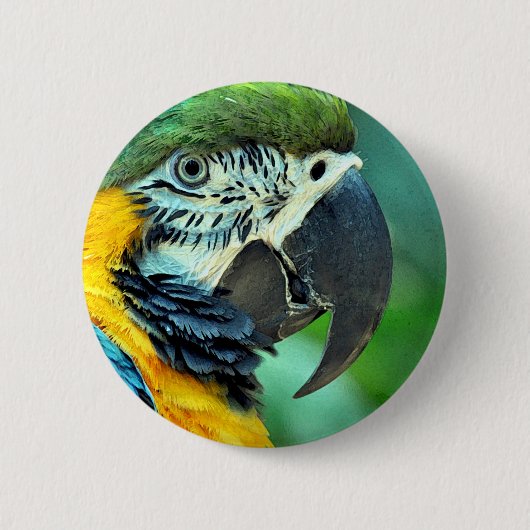 Papagei Button (Vorderseite)