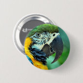 Papagei Button (Vorne & Hinten)