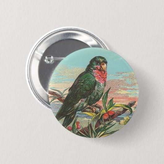 Papagei Button (Vorne & Hinten)