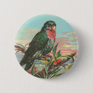 Papagei Button