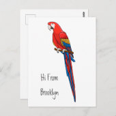 Papagei-Cartoon Postkarte (Vorne/Hinten)