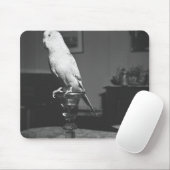 Papagei, der auf Kerzenständer B&W sitzt Mousepad (Mit Mouse)