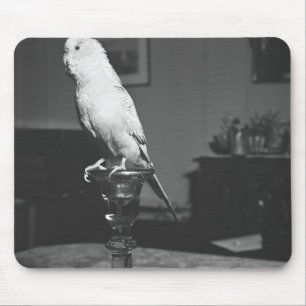 Papagei, der auf Kerzenständer B&W sitzt Mousepad