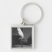 Papagei, der auf Kerzenständer B&W sitzt Schlüsselanhänger (Vorne)