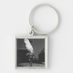 Papagei, der auf Kerzenständer B&W sitzt Schlüsselanhänger