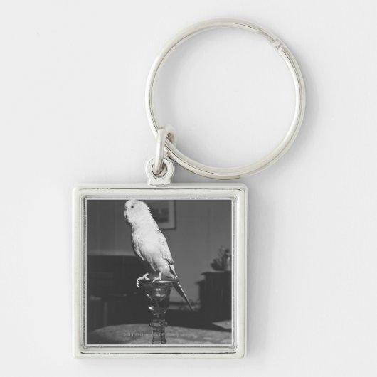 Papagei, der auf Kerzenständer B&W sitzt Schlüsselanhänger (Vorne)
