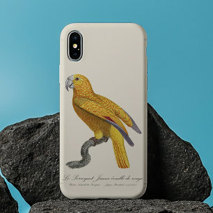 Papagei des Paradieses von Kuba, Psittacus Paradis Case-Mate iPhone Hülle