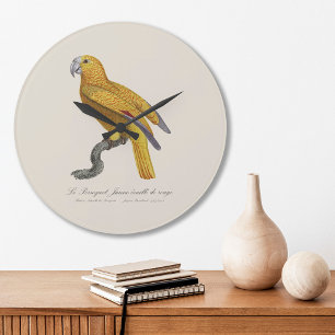 Papagei des Paradieses von Kuba, Psittacus Paradis Große Wanduhr