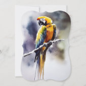 Papagei Feiertagskarte (Vorderseite)