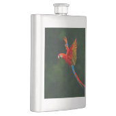 Papagei Flachmann (Rechts)