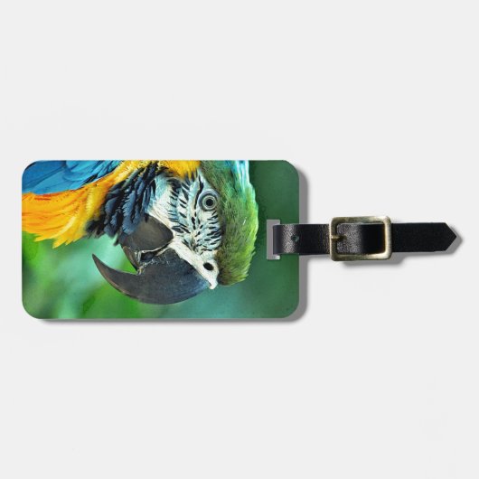 Papagei Gepäckanhänger (Vorderseite horizontal)