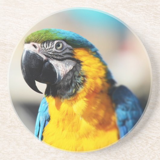 Papagei Getränkeuntersetzer (Vorne)