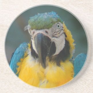 Papagei Getränkeuntersetzer
