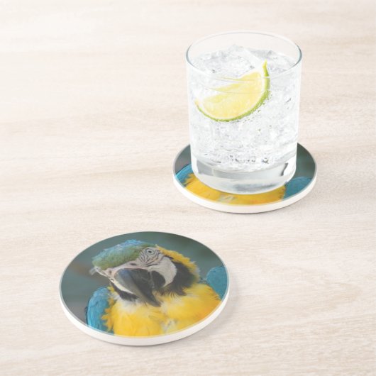 Papagei Getränkeuntersetzer (Seite)
