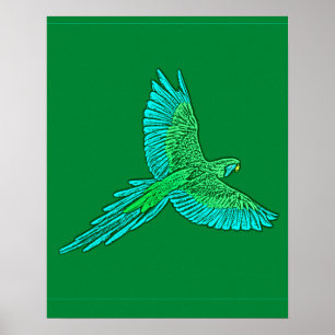 Papagei im Flug, Jade Green und Türkis Poster