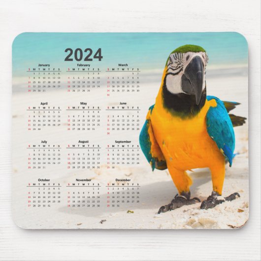 Papagei im Sandkalender 2024 Mousepad (Vorne)
