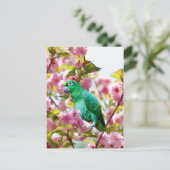 Papagei in Kirschblüten Postkarte (Stehend Vorderseite)