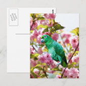 Papagei in Kirschblüten Postkarte (Vorne/Hinten)