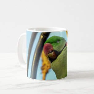 Papagei Kaffeetasse