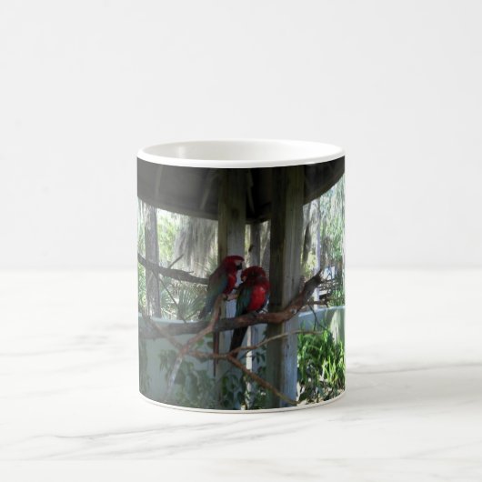 Papagei Kaffeetasse (Mittel)