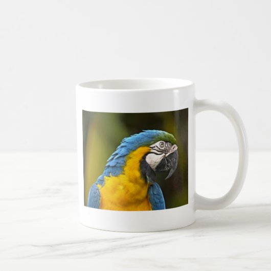 Papagei Kaffeetasse (Rechts)
