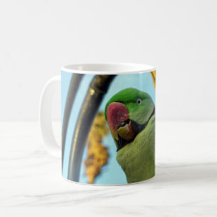 Papagei Kaffeetasse
