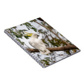 Papagei, Kakadu mit Schwefelkies, Vogel Notizblock (Rechte Seite)
