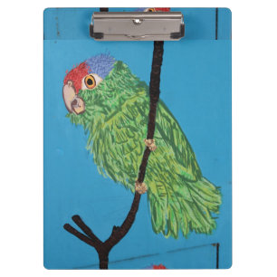 Papagei Klemmbrett